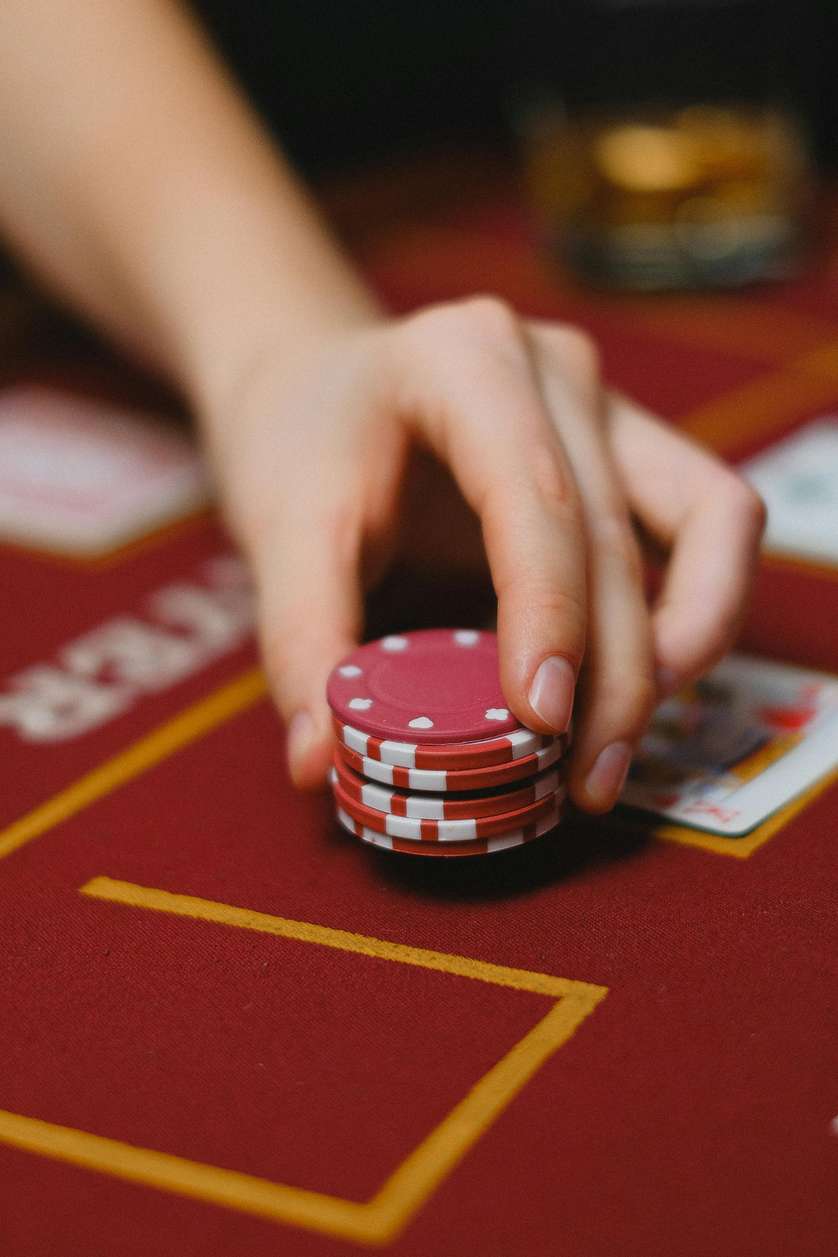 Pelican Casino Bonus: Alles, was Sie wissen müssen (2024)